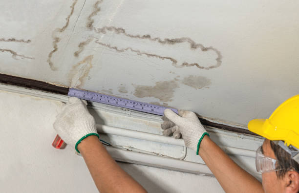 Reliable Water Damage Repair contractor in Williamsfield, OH by Hirex Water Damage
